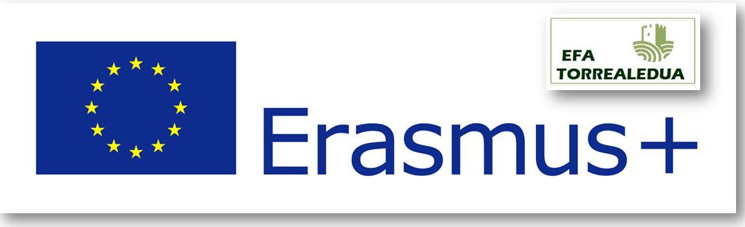 Erasmus*
