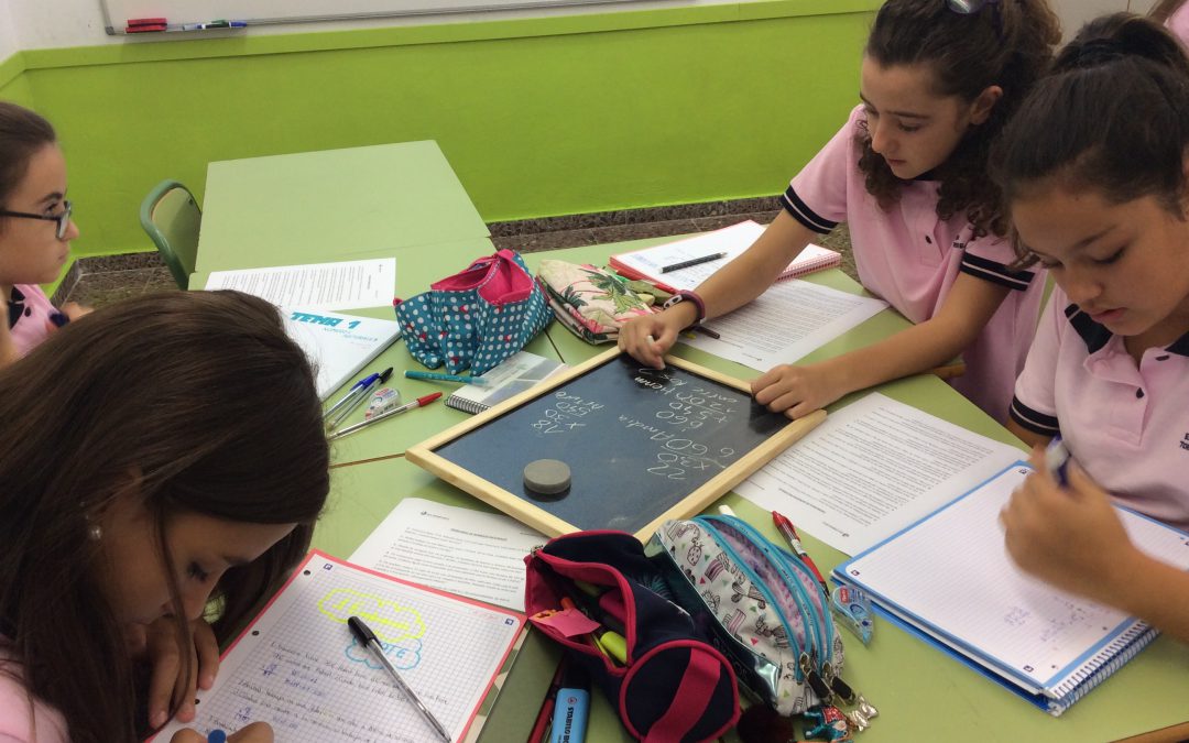 Hemos preparado un curso de verano intensivo