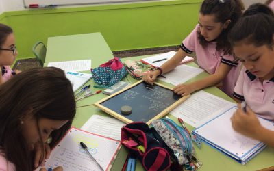 Hemos preparado un curso de verano intensivo