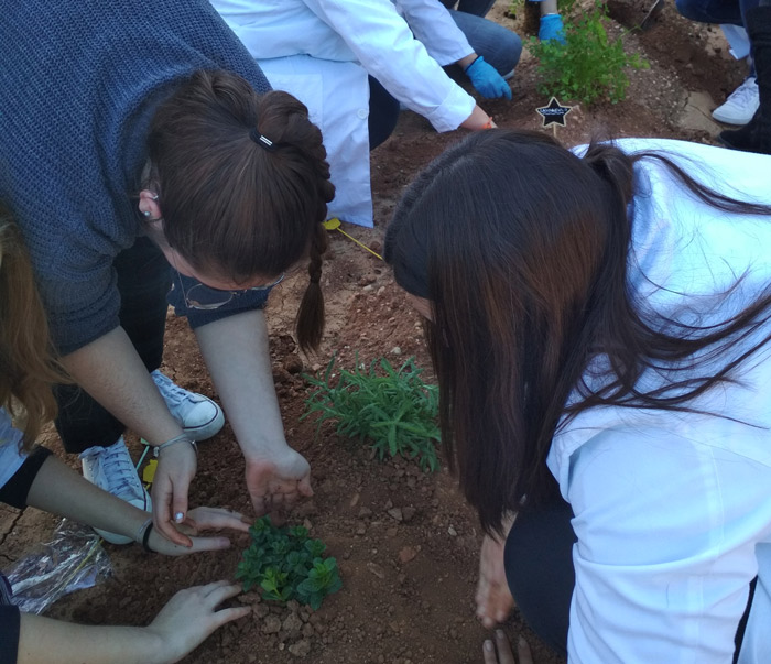 Huerto ecológico