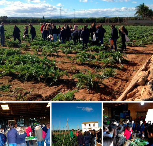 Nos nutrimos de nuestro huerto ecológico